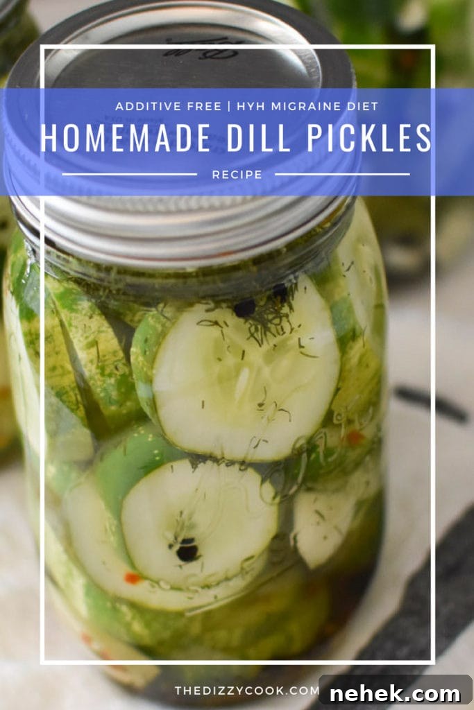 Quick Homemade Dill Pickles Ready in 1 Hour 4 Additive/MSG free homemade dill pickles | quick and easy