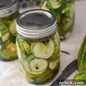 Quick Homemade Dill Pickles Ready in 1 Hour 5 Homemade farmers market dill pickles | quick and easy