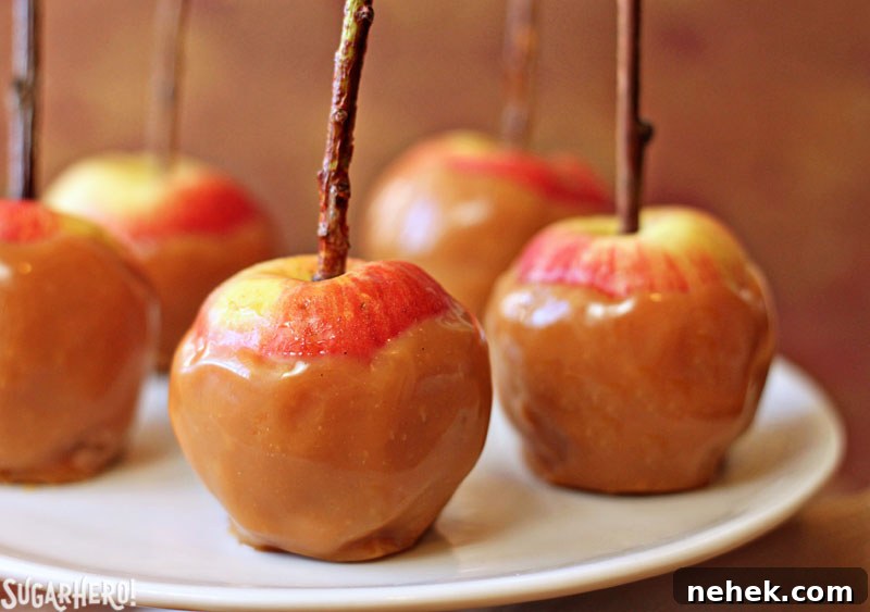 Caramel Apple Cake Caramel Apple Cake | From SugarHero.com