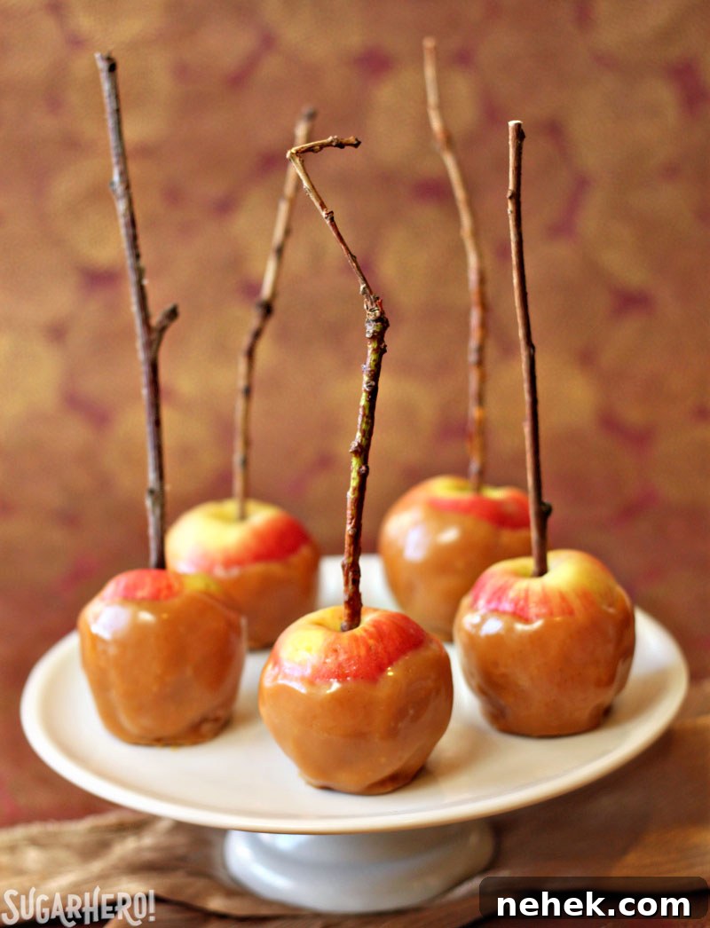 Caramel Apple Cake with salted caramel frosting Caramel Apple Cake | From SugarHero.com