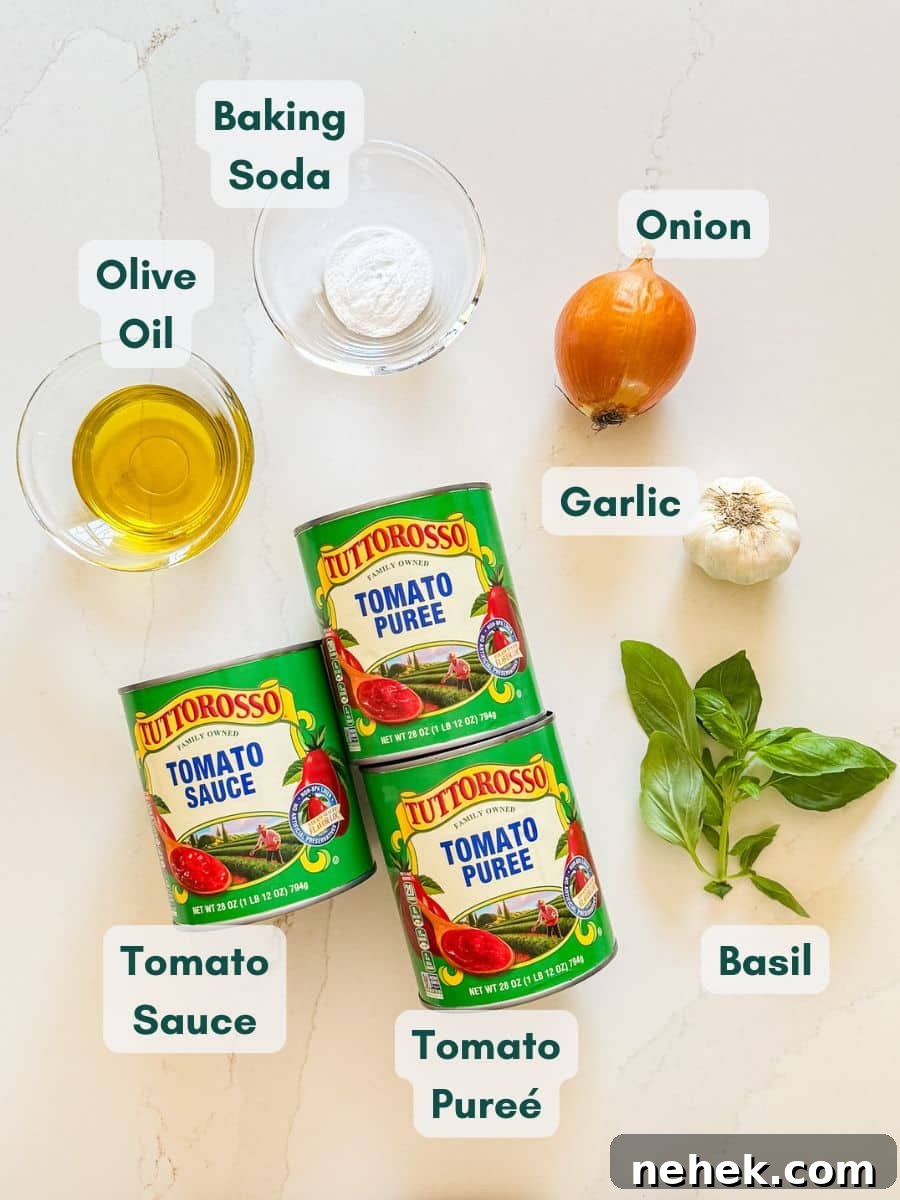 Homemade Sugar-Free Marinara Sauce 4 An overhead image of labeled recipe ingredients.